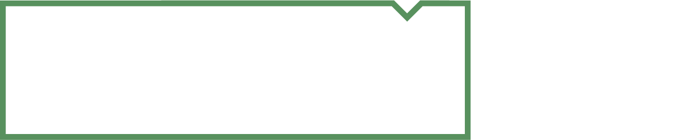data-logo-green-white